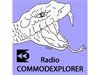 Commodexplorer Radio - Chartres