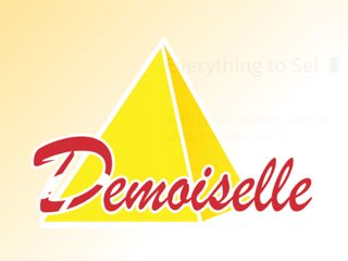 Demoiselle FM - La Rochelle