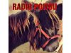 Radio Poitou - Internet