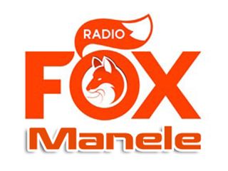 Radio Fox Manele - Doar Internet