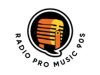 Radio Pro Music 90s - Doar Internet