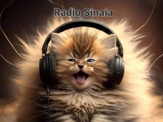 Radio Sinaia - Sinaia