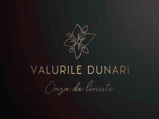 Valurile Dunarii - Brăila