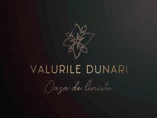 Valurile Dunarii - Brăila