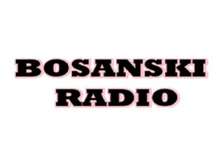 Bosanski Aksamluk - Internet