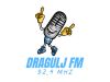 Dragulj FM 92,4 - Leposavić
