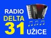Radio Delta 31 - Užice
