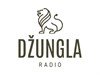 Radio Dzungla Doboj - Internet