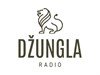 Radio Dzungla Doboj III program - Internet