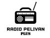 Radio Pelivan Plus - Dragaš